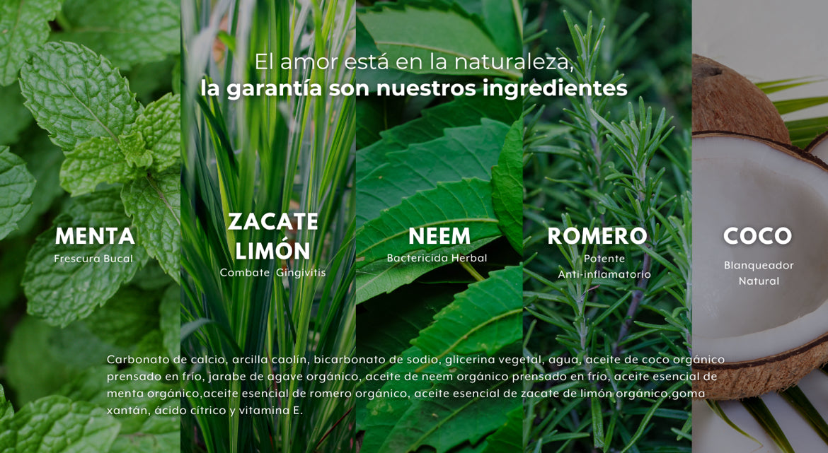 Pasta dental natural Herbal Joe's envase vidrio (170g)