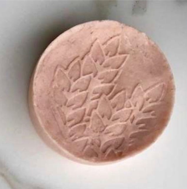 Shampoo Barra Naranja