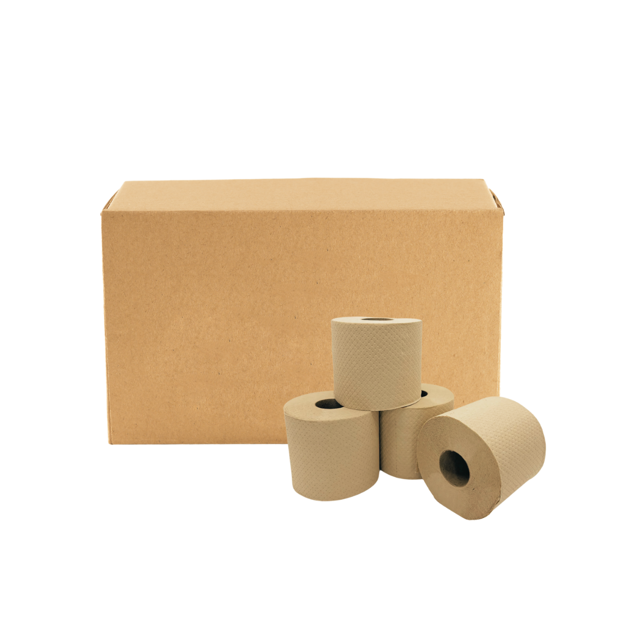 Papel higiénico fibra de bambú KleanTab caja 24 unidades