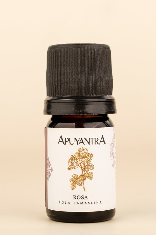 Aceite esencial Rosa (5ml)