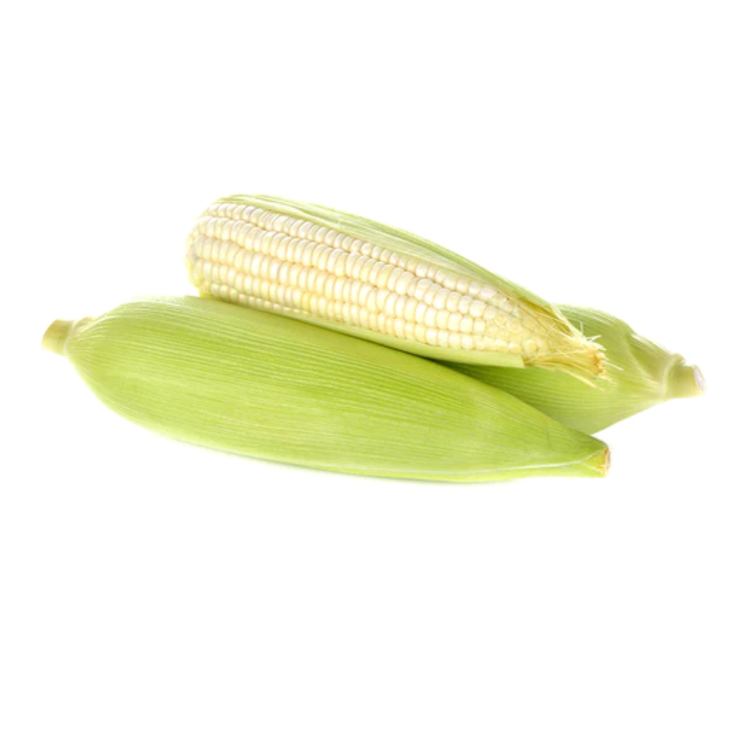 Elotes agroecológico
