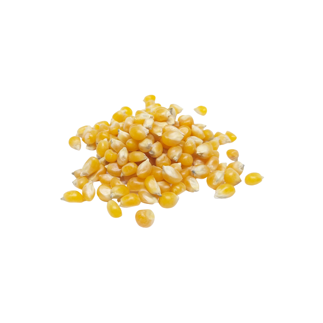 Maíz amarillo (Agroecológico)