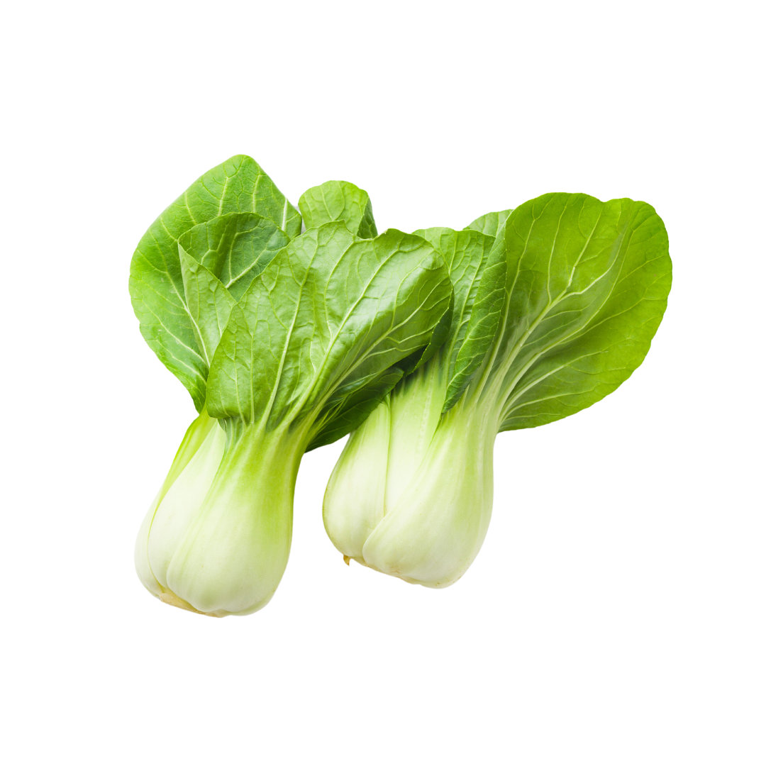 Pak choi agroecológico