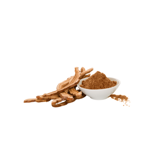 Hongo reishi en polvo (orgánico)