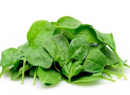 Espinaca criolla agroecológico