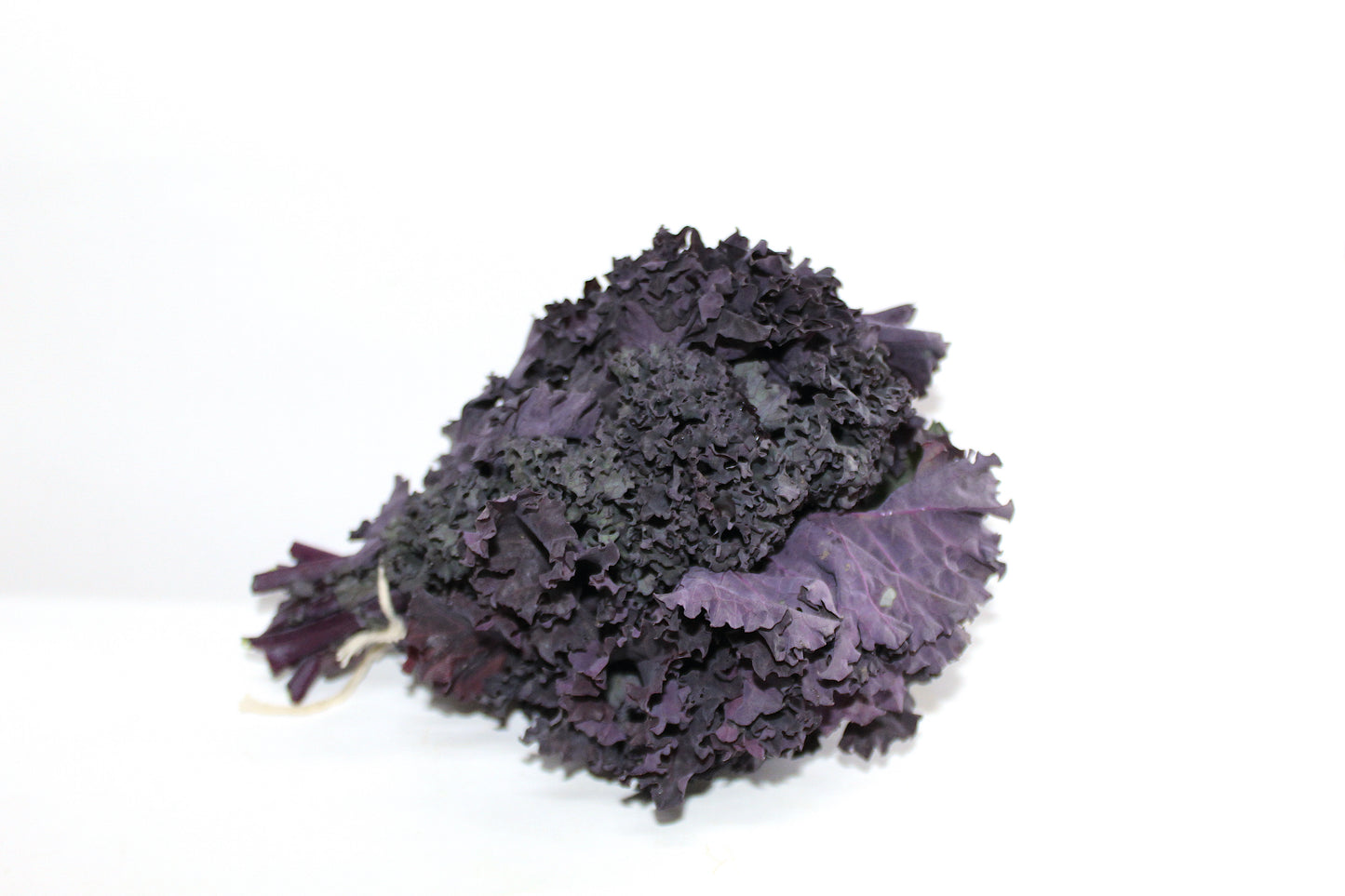 Kale Morado agroecológico