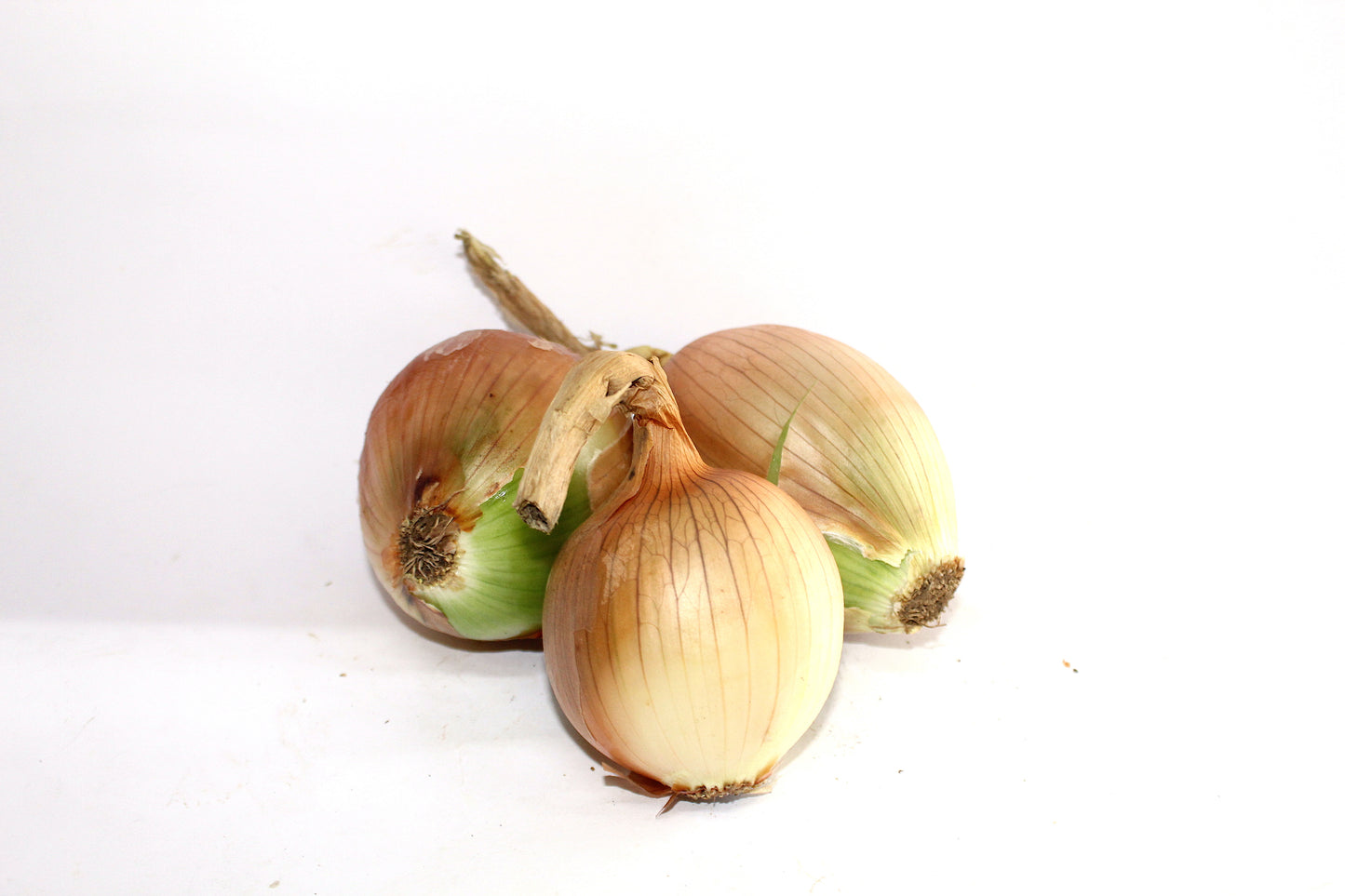 Cebolla blanca agroecológico