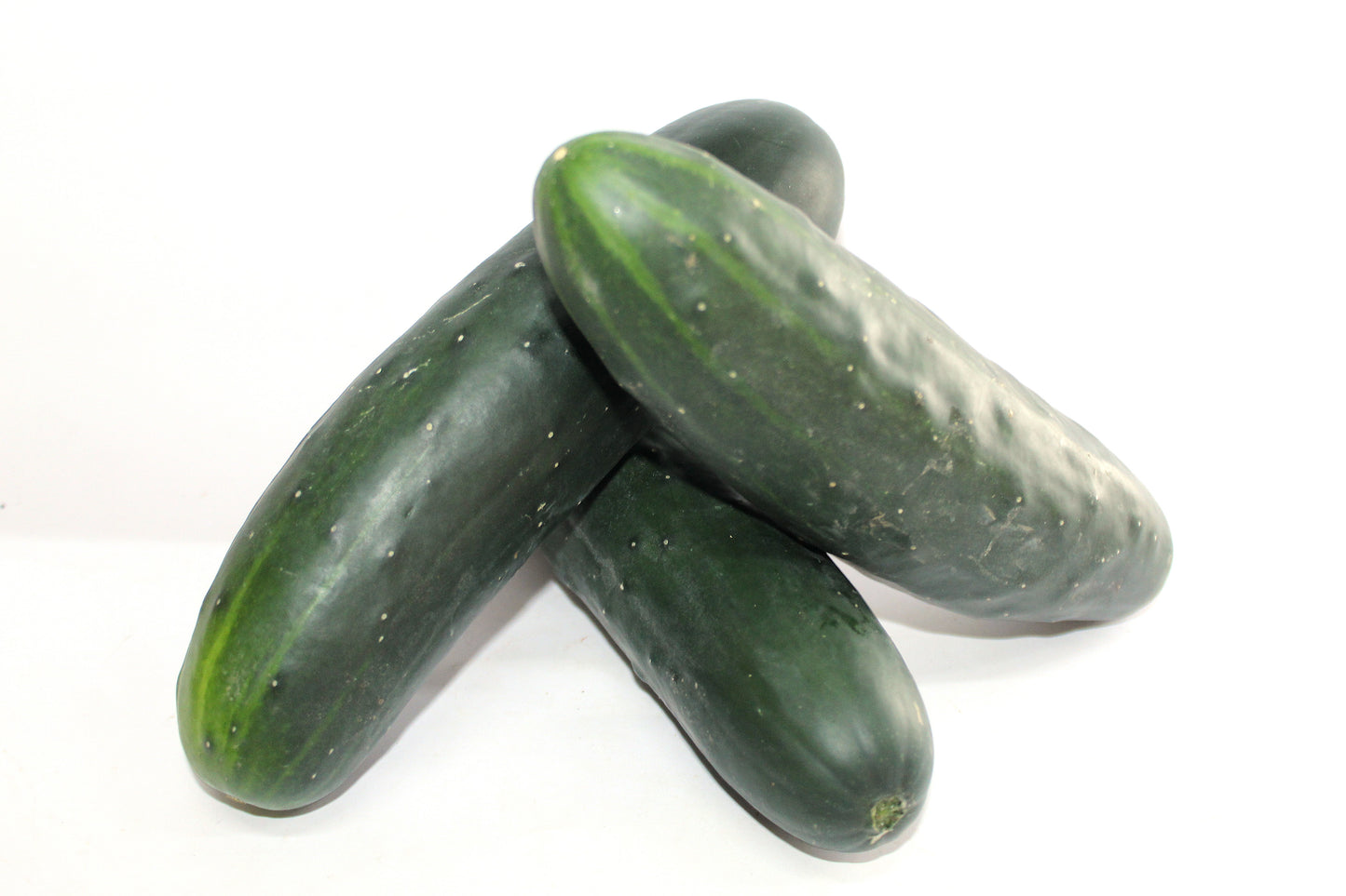 Pepino agroecológico