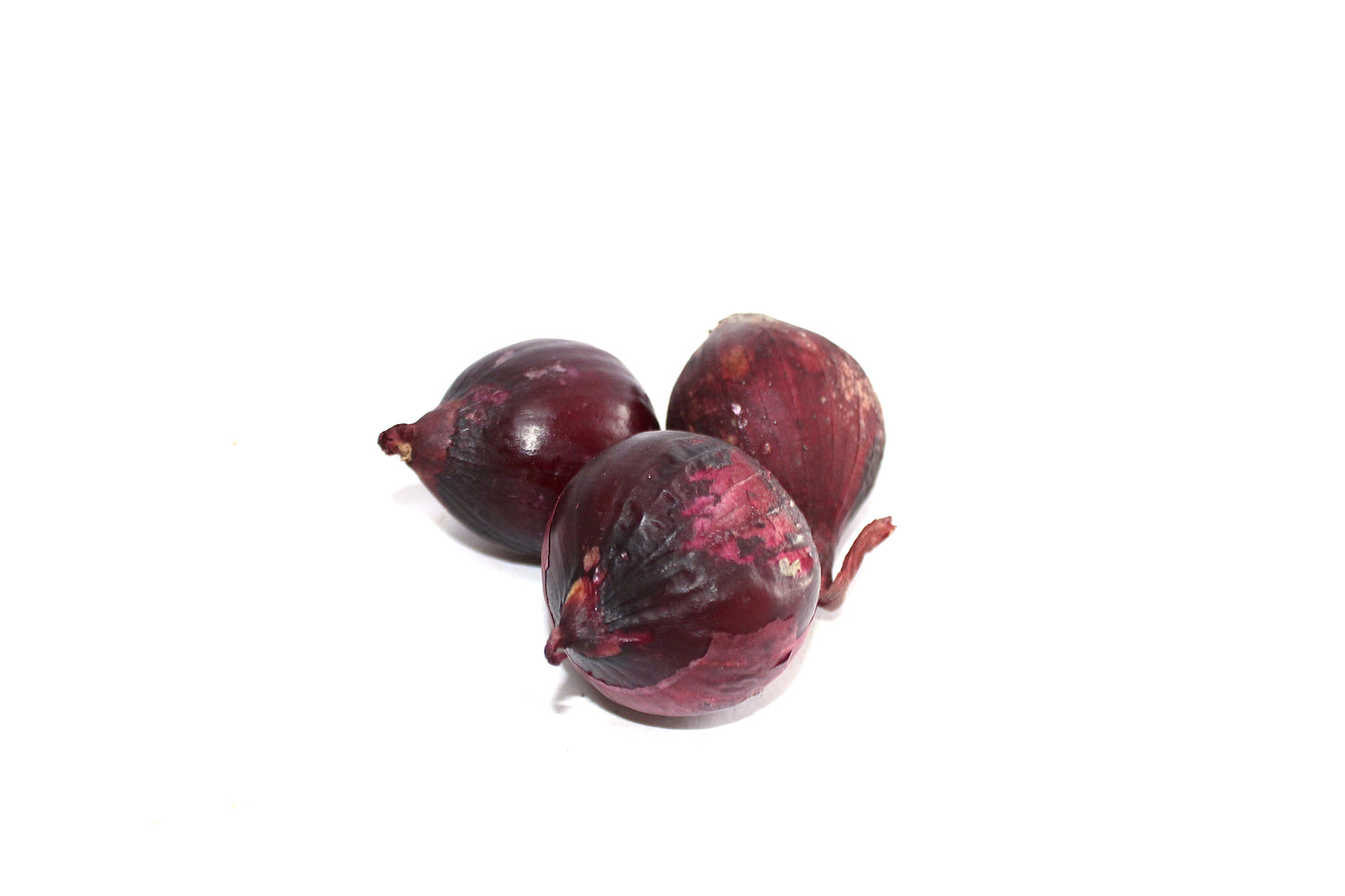 Cebolla morada agroecológico