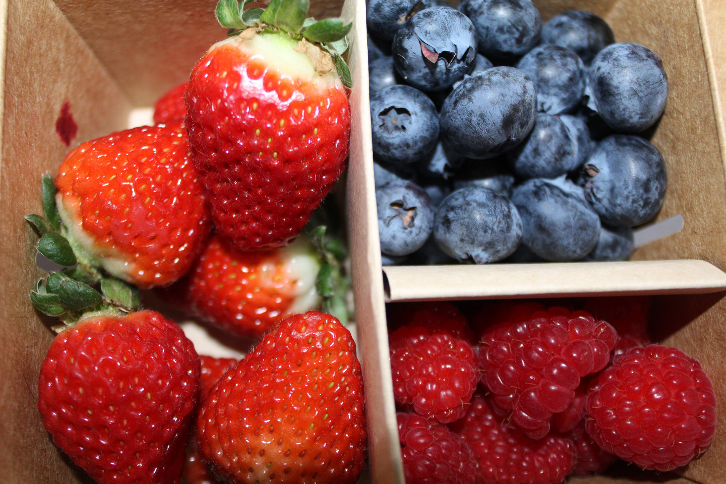 Mix Fresa, frambuesa, arándanos (240g)