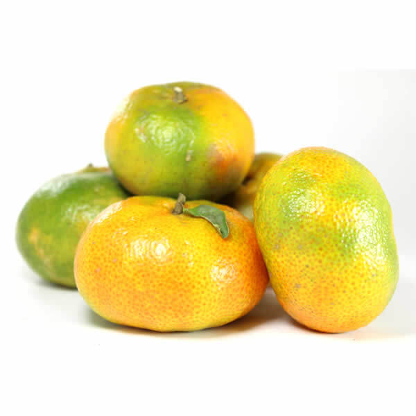 Mandarina dulce agroecológico