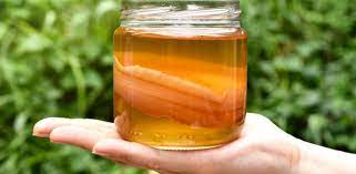 Vinagre de kombucha