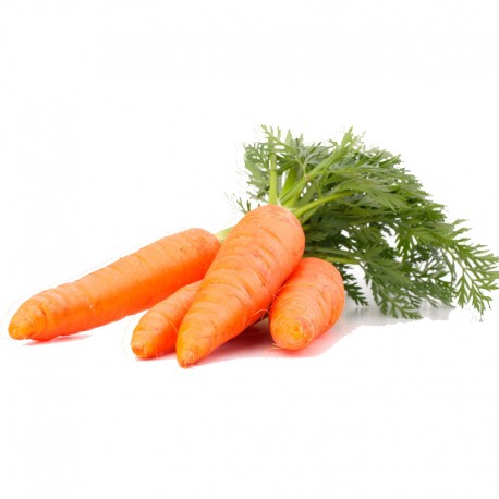 Zanahoria orgánica
