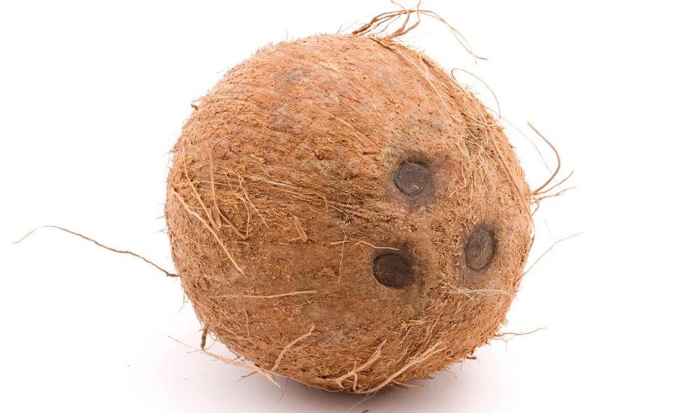 Pipa agroecológica