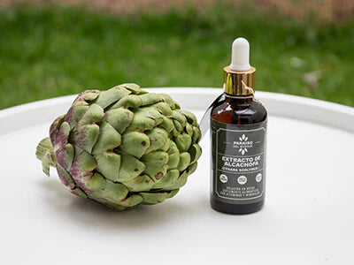 Suplemento Alcachofas
