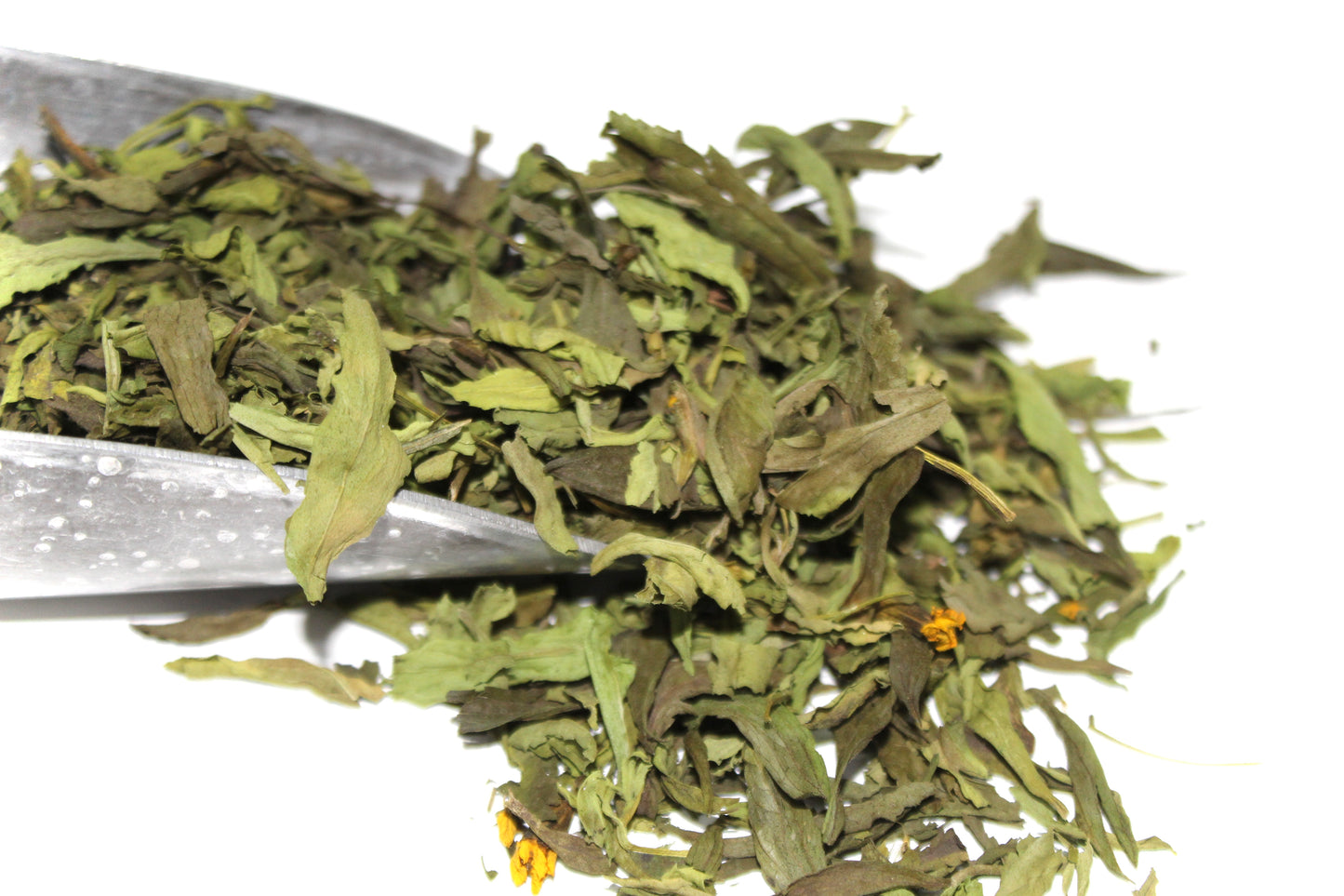 Estragón deshidratado premium