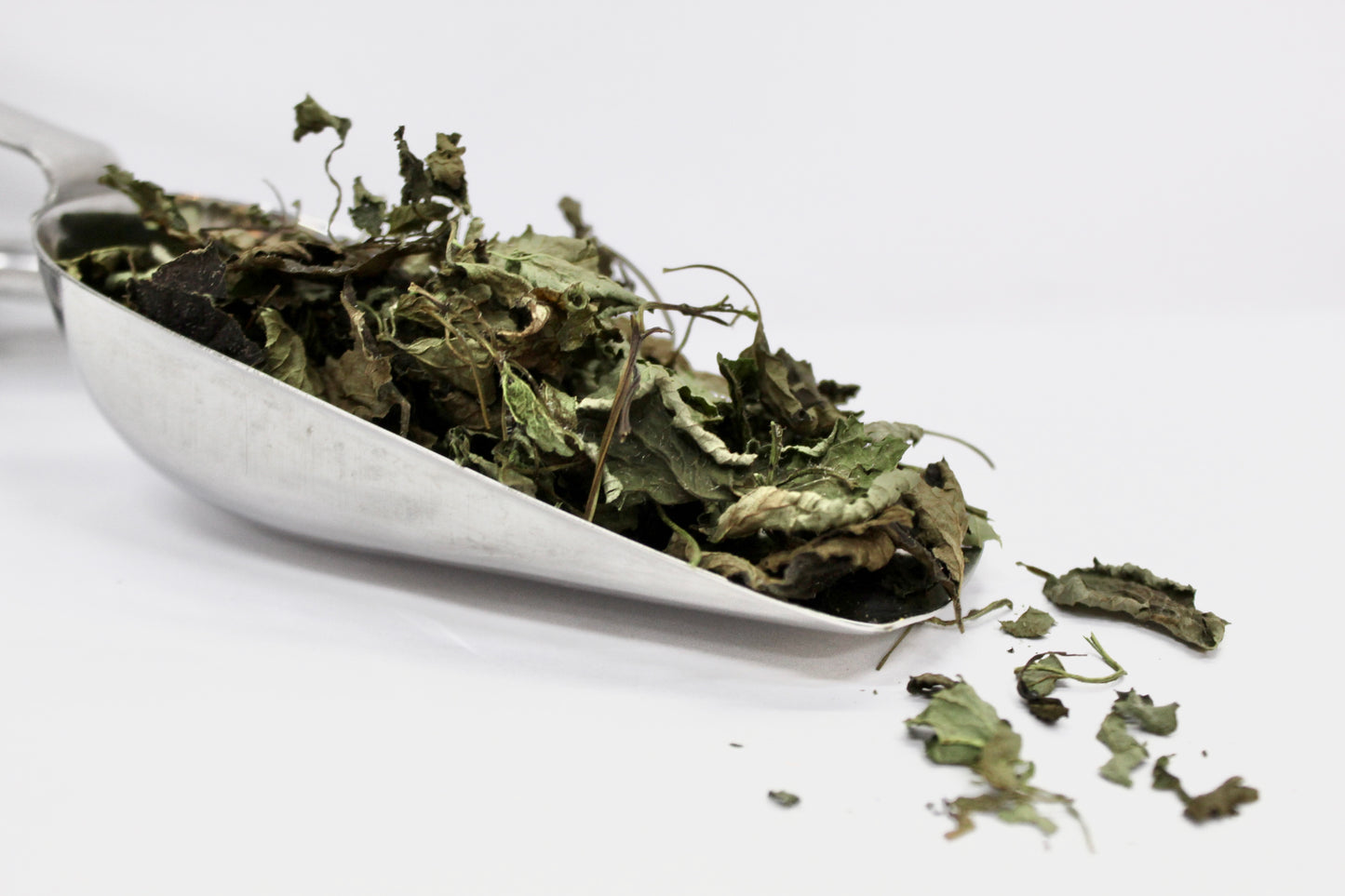 Melissa deshidratada