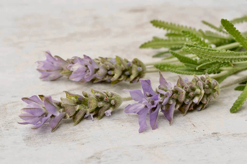 Rollo lavanda orgánico