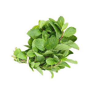 Menta orgánico