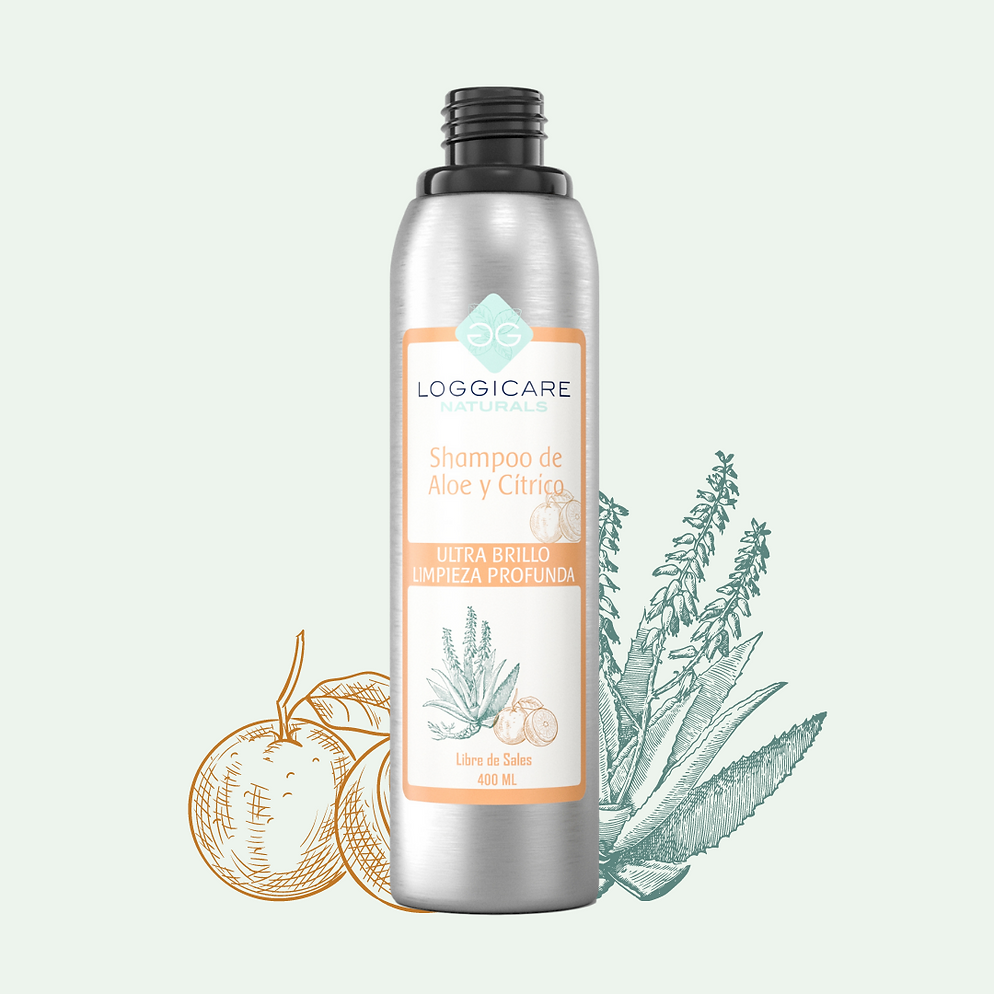 Shampoo Loggicare (300ml)