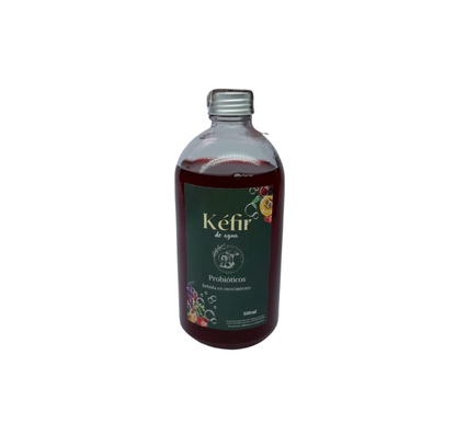 Kéfir en agua sabor Flor de Jamaica Bio Vitalis