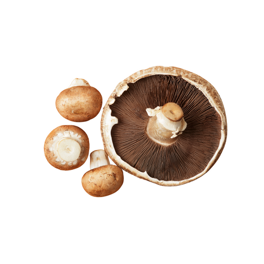 Hongos crimini