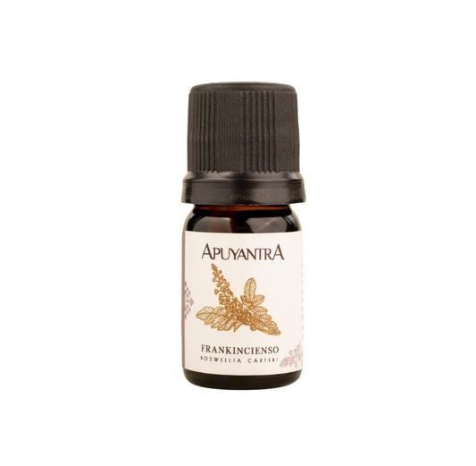 Aceite esencial Frankincienso Apuyantra (5ml)