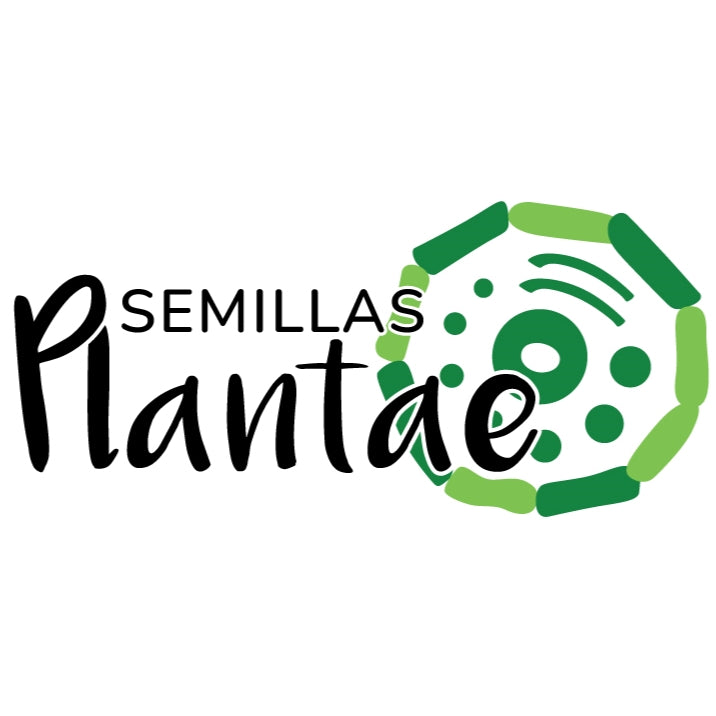 Semillas Plantae