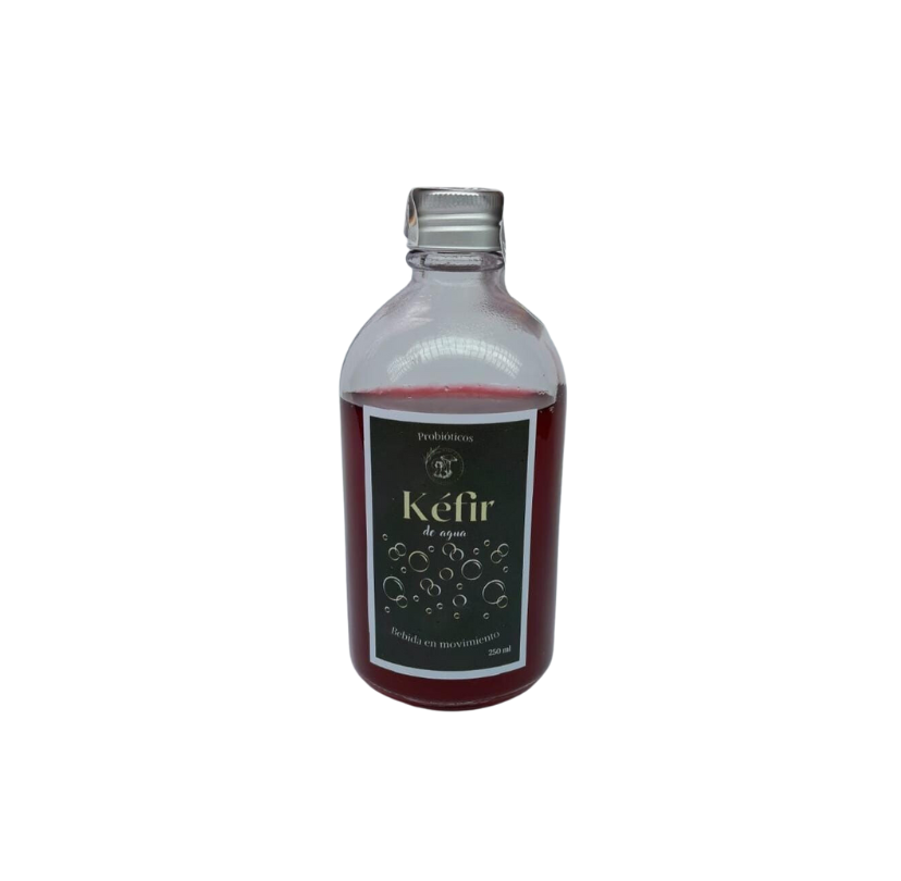 Kéfir en agua sabor Flor de Jamaica Bio Vitalis