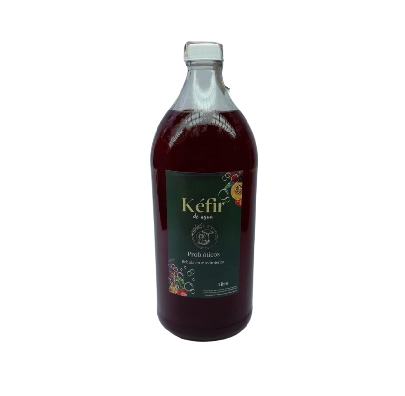 Kéfir en agua sabor Flor de Jamaica Bio Vitalis