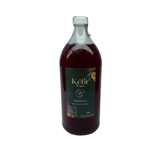 Kéfir en agua sabor Flor de Jamaica Bio Vitalis