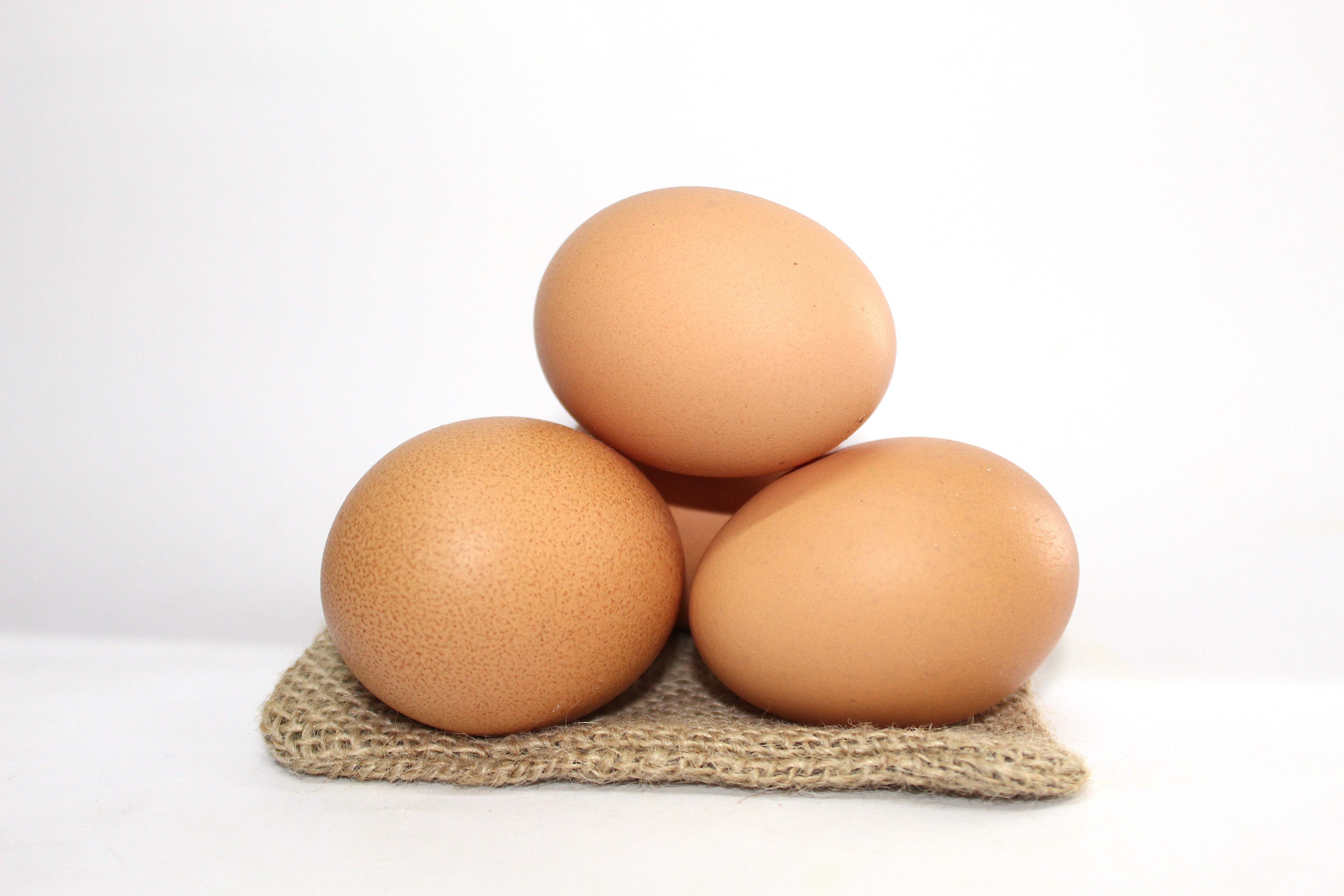 Huevos de Pastoreo