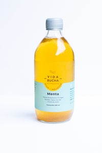 Vida Bucha Kombucha