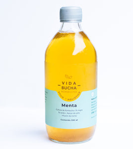 Vida Bucha Kombucha