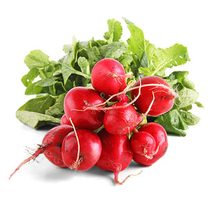 Rabanito